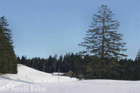 Alpe Hinterhaselbach